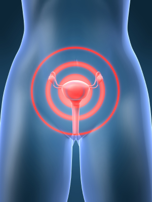 Womans body highlighting uterus and ovaries
