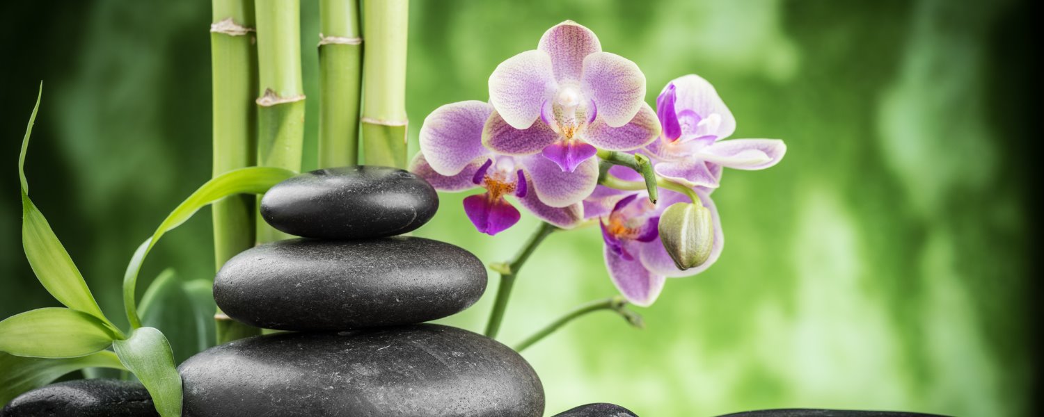 Bamboo, stones and orchids